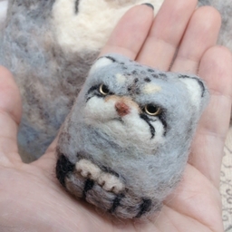 るりぼし