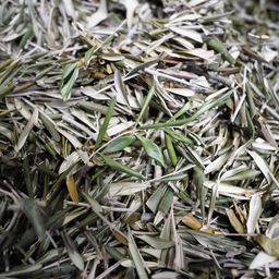 LIR 草木染