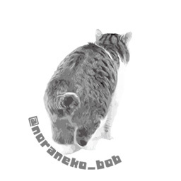 noranekobob