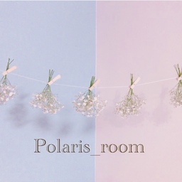 polaris15