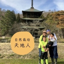 自然栽培 天地人