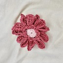 gerbera3636