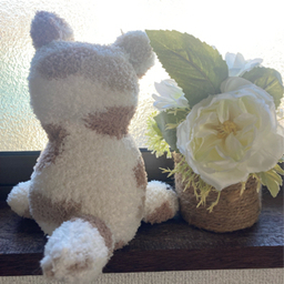 みーこ