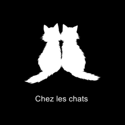 Chez les chats