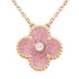 coccinelle et etoile