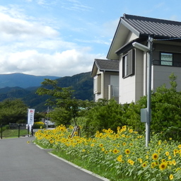 おもいで工房　豆狸