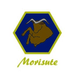 MORISUTE
