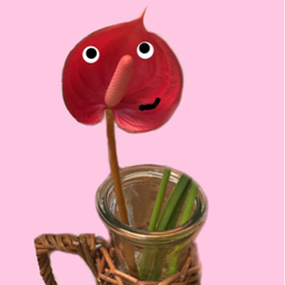 bonsurium