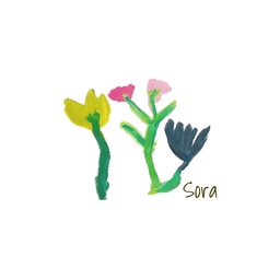 sora
