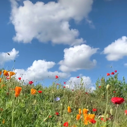 Mr.Okay-ネイルチップ