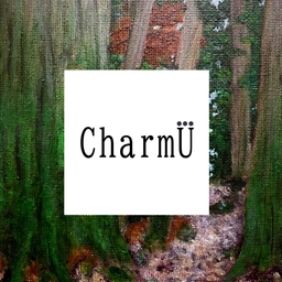 charm-u