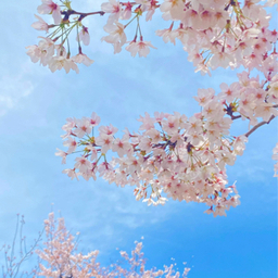 blue1sky