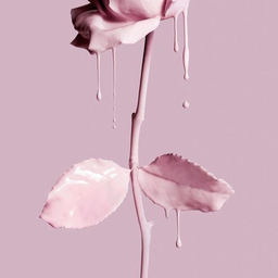 like-iphone