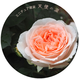 天使の涙
