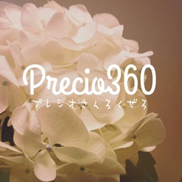 Precio360
