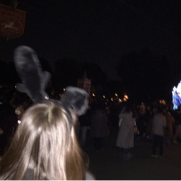 bunnycandy