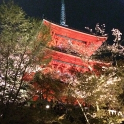 silku220127