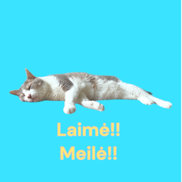 laimemeile