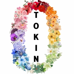 TOKIN