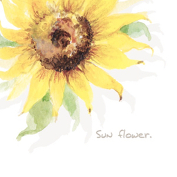 sunflower324