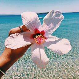 ♡