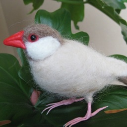 bunpara