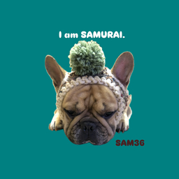 I am SAMURAI（SAM36）