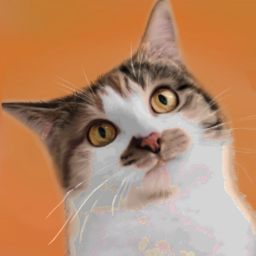 colieコリエ