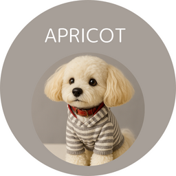 APRICOT