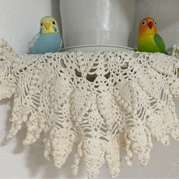 Cotton.Race&Amichan