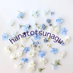 hanatotsunagu