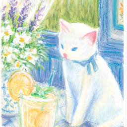     kayo｜猫と優しい暮らしの絵