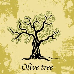 olivetree