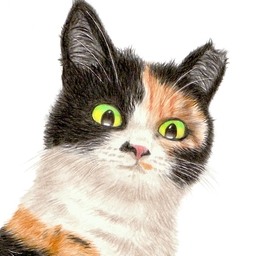 Gorasu