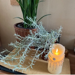kako