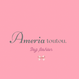 ameriatoutou