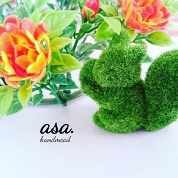 asa