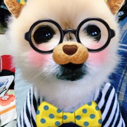 milky Bear