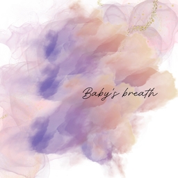 Baby's breath