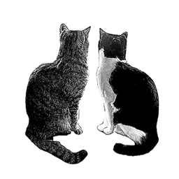和猫M&M