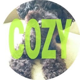 Cozy
