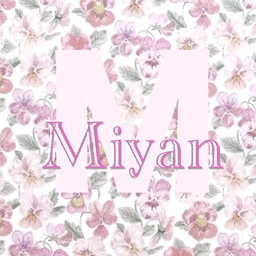 miyan-pocket
