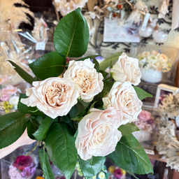 roserougeflower