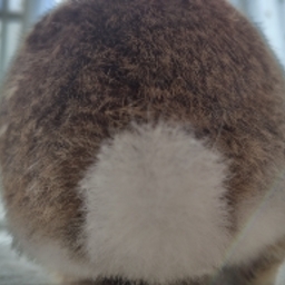 sakurausa618