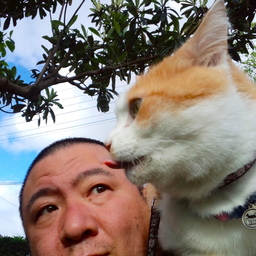 にゃんこひょうたん