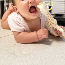 かえで