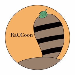 ＊cocco＊raccoon