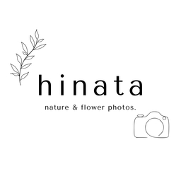 hinata  n&f  photos.