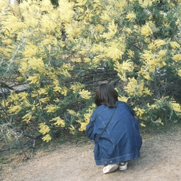 Hinari