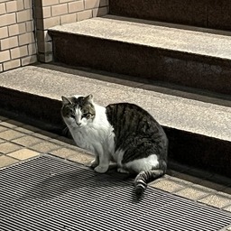 穂積